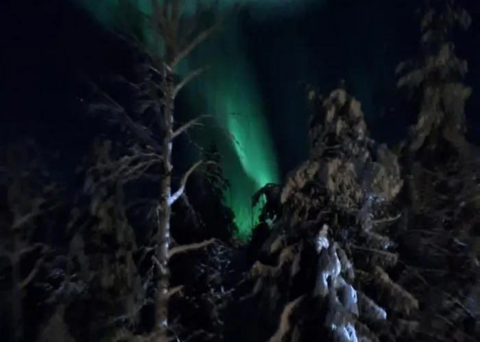 Ounas Дом отдыха