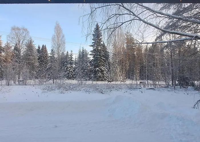 Дом отдыха Ounas *